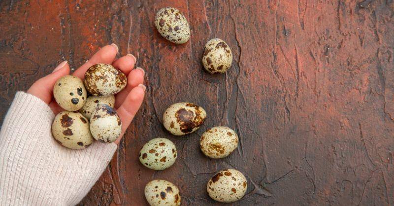 Freepik/KamranAydinov