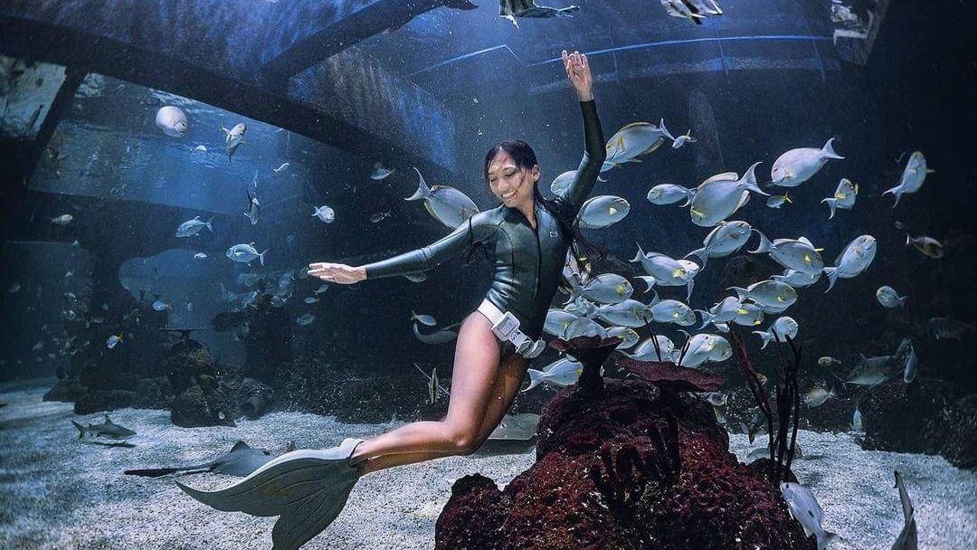 Instagram.com/nikitafima