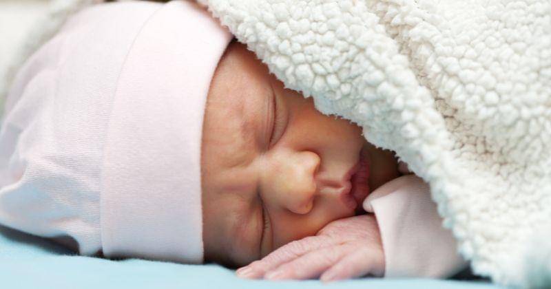 Freepik.com/bearfotos