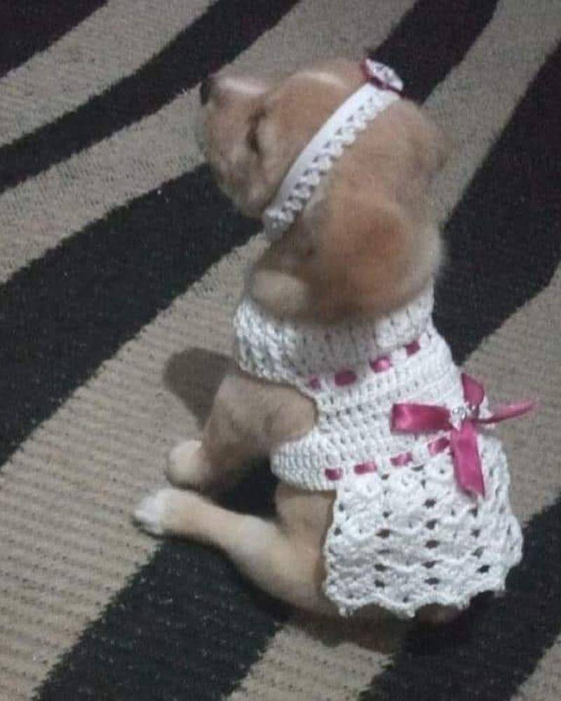 Instagram.com/nonsenseanimal