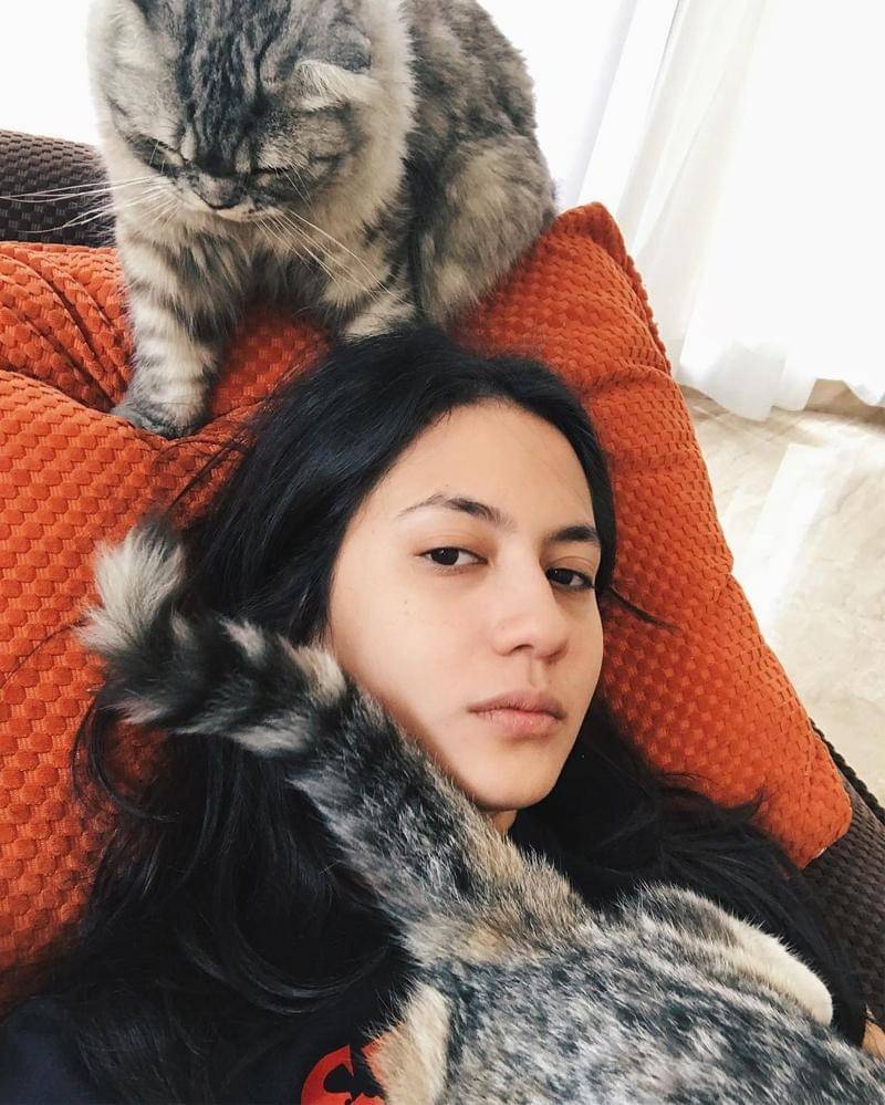 Instagram.com/pevpearce