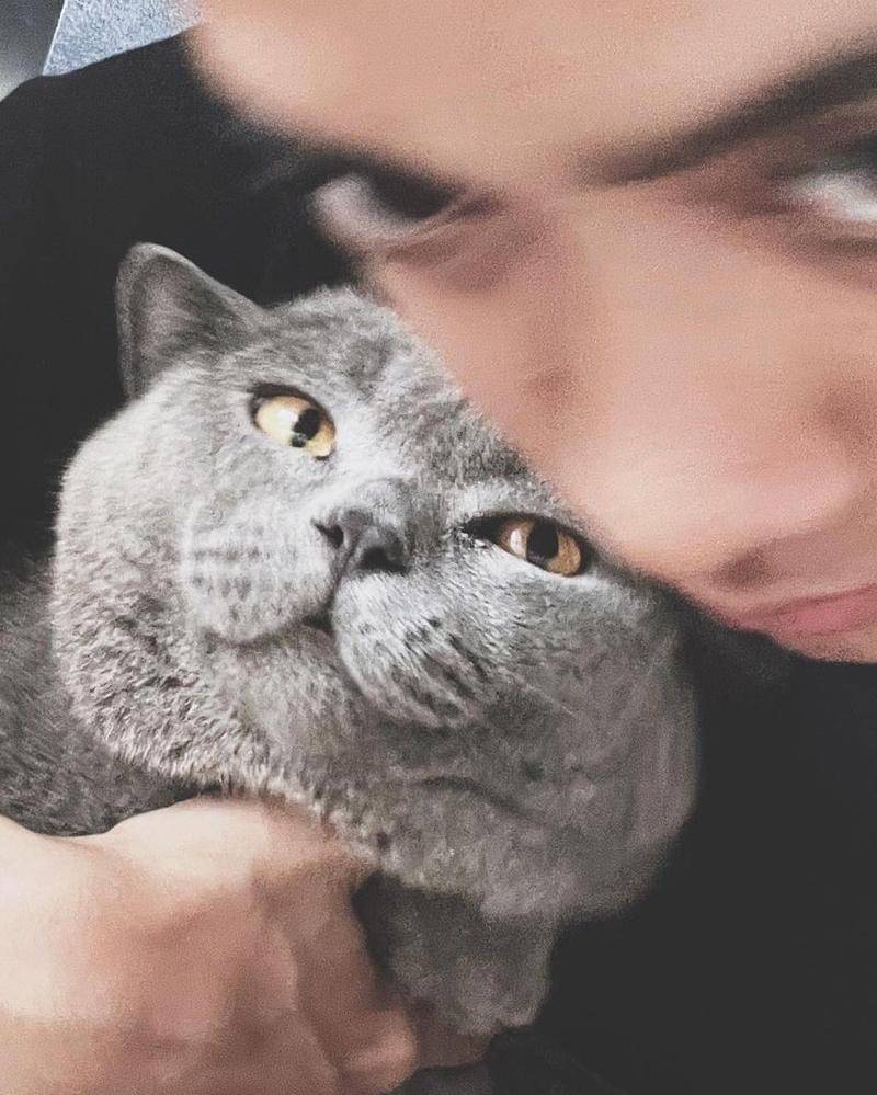 Instagram.com/ayudiac