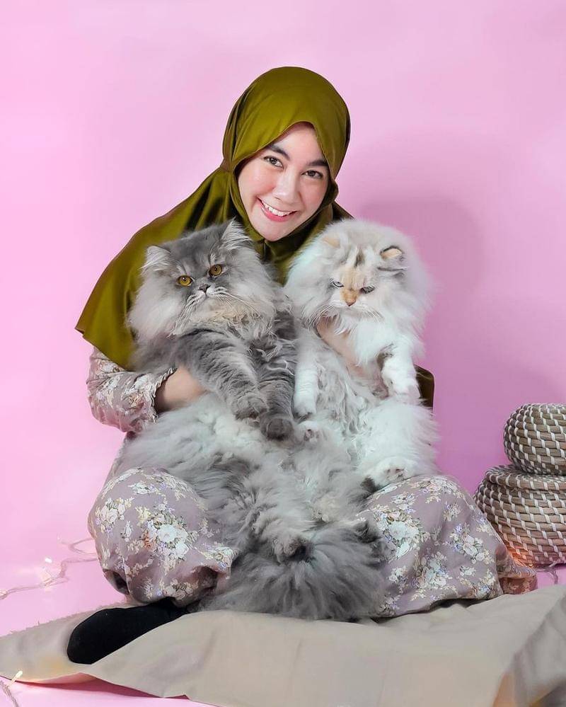 Instagram.com/anisarahma_12