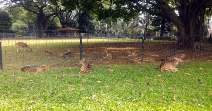 direktoripariwisata.id