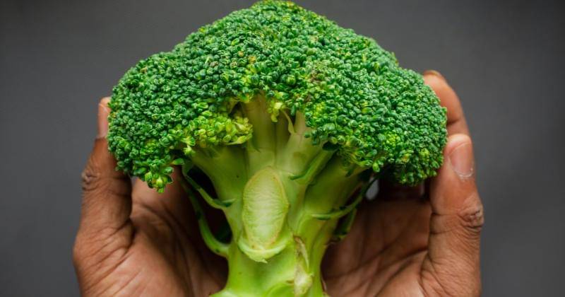 Unsplash/Louis Hansel