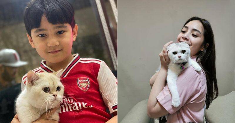 Instagram.com/miawsaucethecat