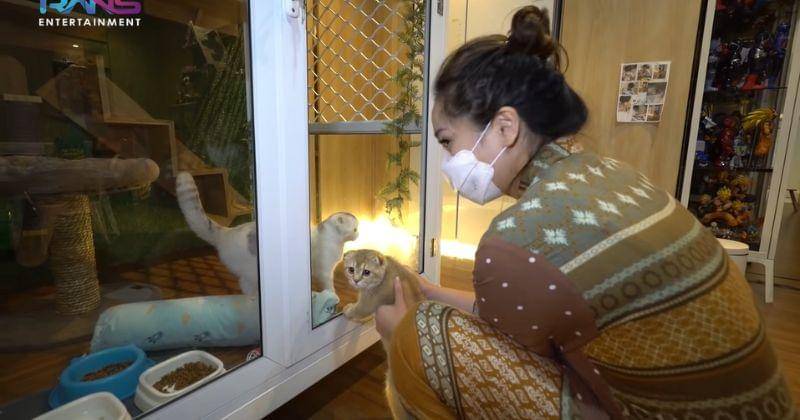 YouTube.com/Rans Entertainment