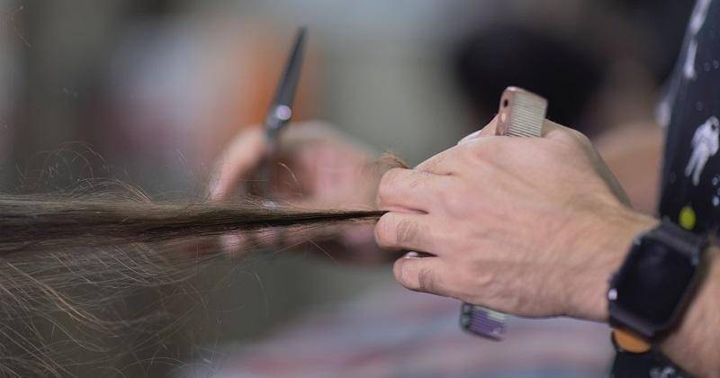 Unsplash/mostafa meraji