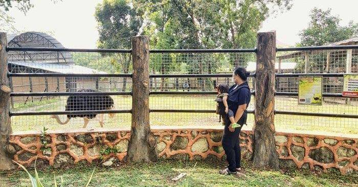 jateng.tribunnews.com