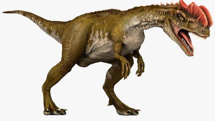 Pinterest/pond5official