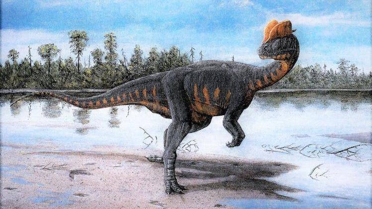 dinosaurs-battle-world-championship.fandom.com