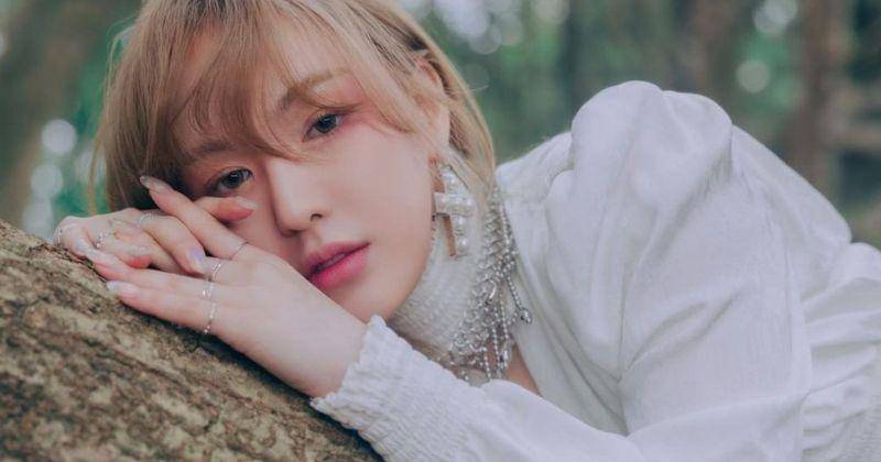 Instagram.com/todayis_wendy