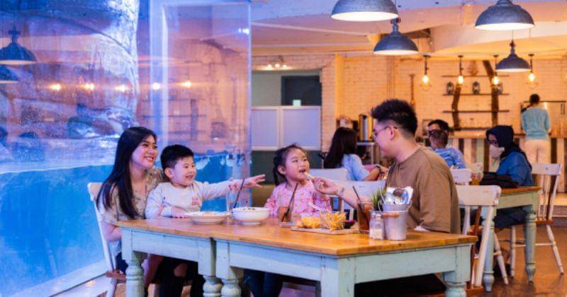 Jakartaaquariumsafari.com