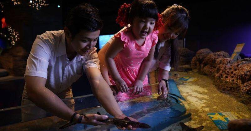 Instagram.com/jakartaaquarium