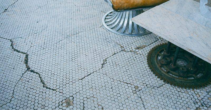 Pexels/Maria Orlova