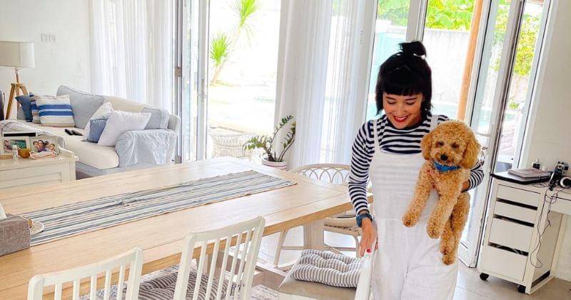 Instagram.com/sophienavita