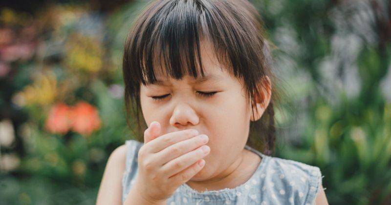 Shutterstock/Natee K Jindakum