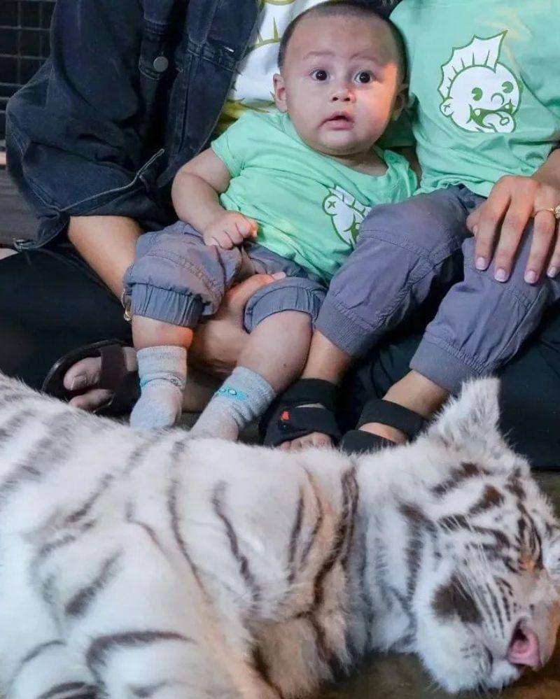 Instagram.com/kenzoeldragowong