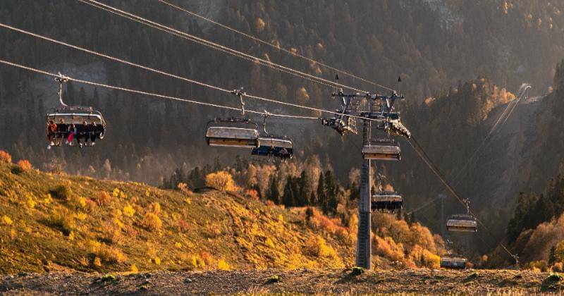 Pexels/Alenka Shalievskaya