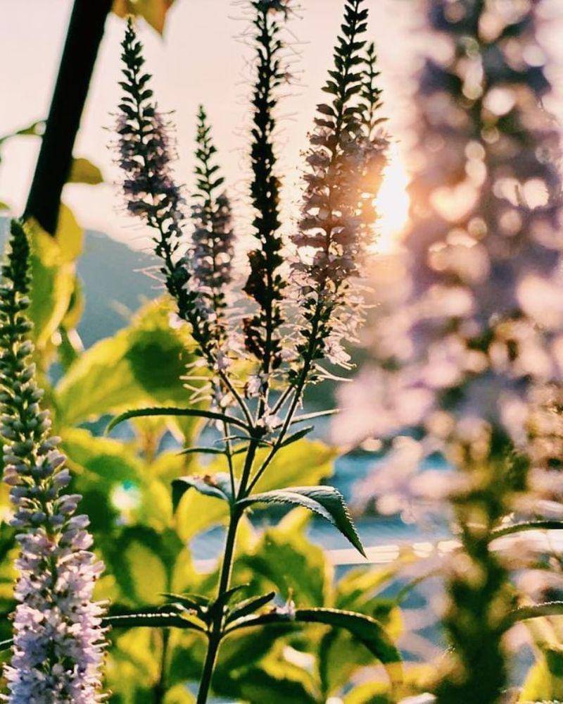 Instagram.com/yejinhand