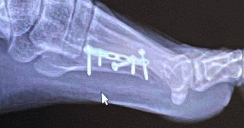 Instagram.com/michimomo