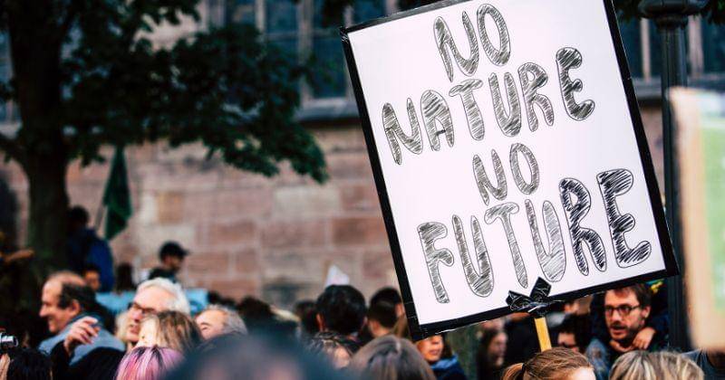 pexels/Markus Spiske