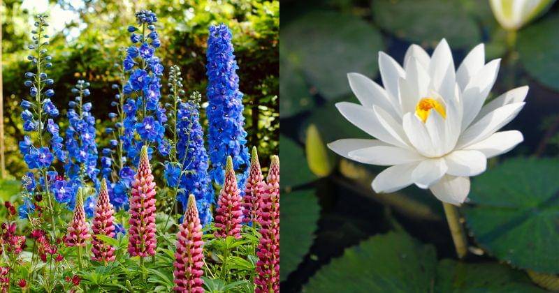 Unsplash.com/Michaela Murphy & binh dang nam