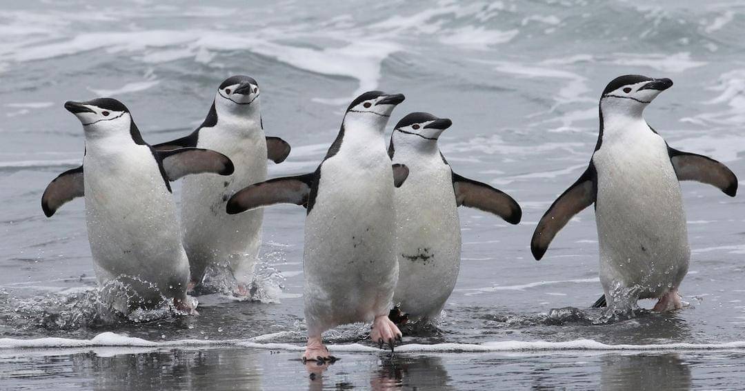 Nationalgeographic.com