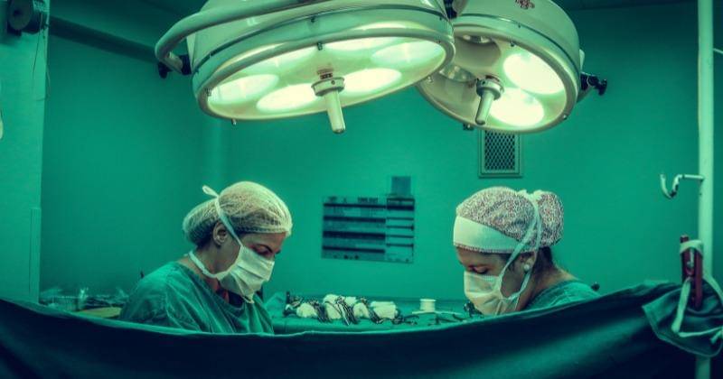 Pexels/Vidal Belielo Jr.