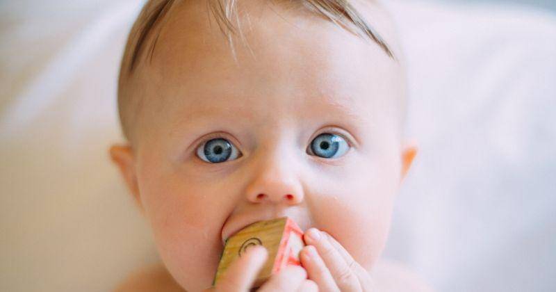 unsplash/Colin Maynard