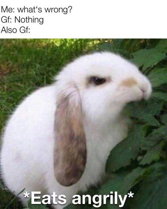 Twitter.com/Hashinshin