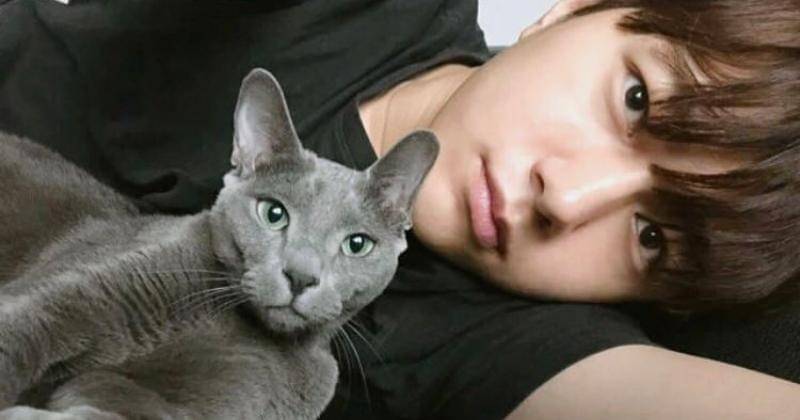 Instagram.com/kim_msl