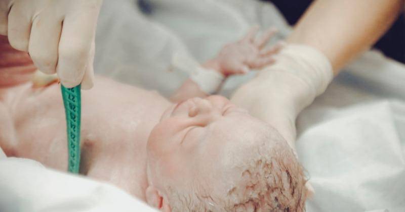 Pexels/Vidal Belielo Jr.