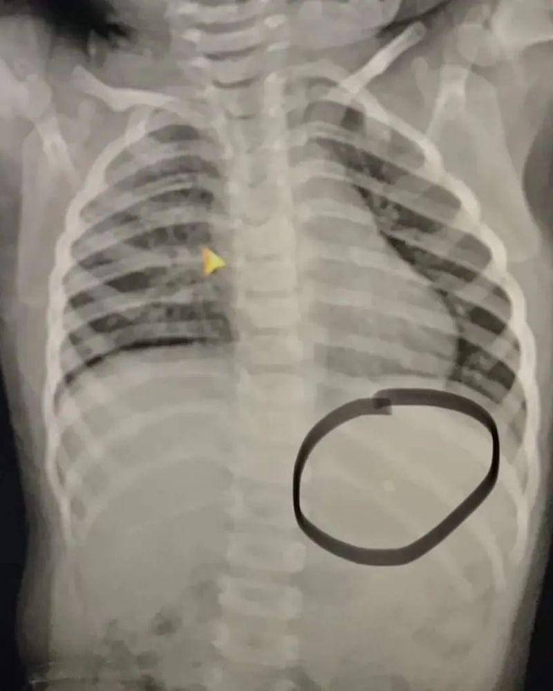 Instagram.com/dr.ariani