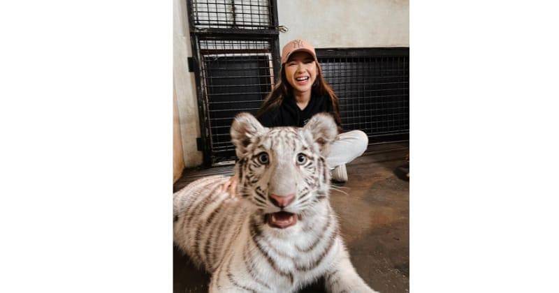 Instagram.com/tiaraandini