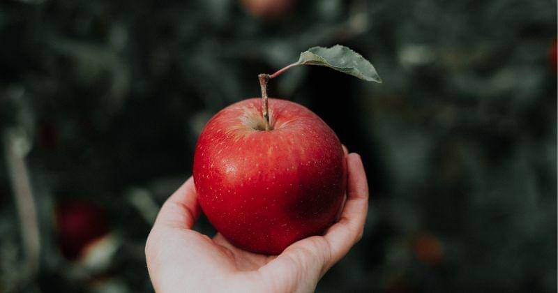 unsplash/Priscilla Du Preez