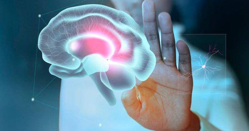 freepik.com/rawpixel-com