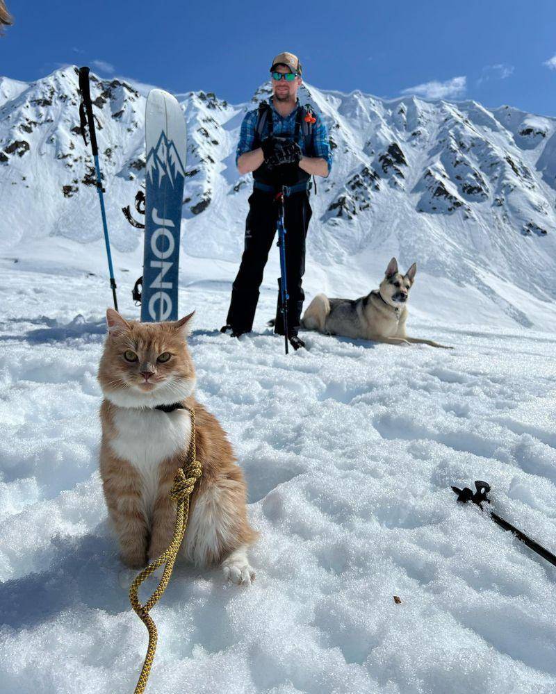 Instagram.com/meow_taineer