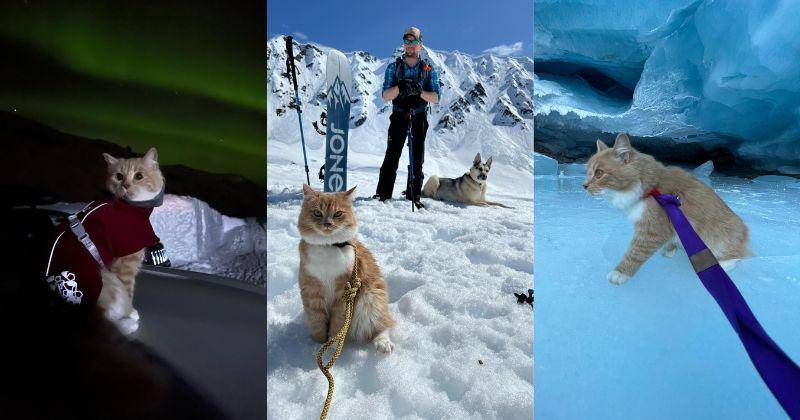 Instagram.com/meow_taineer