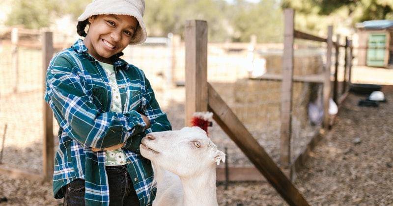 Pexels/RODNAE Productions