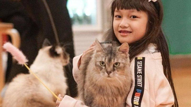 Instagram.com/ussypratama/