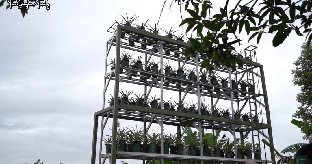 YouTube.com/The Sungkars