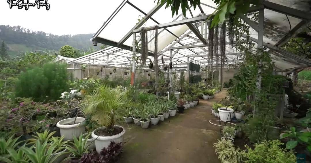 YouTube.com/The Sungkars