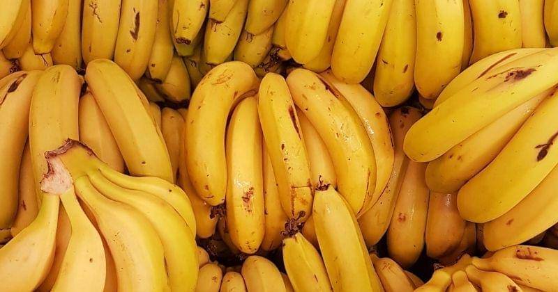 unsplash.com/@rodreis