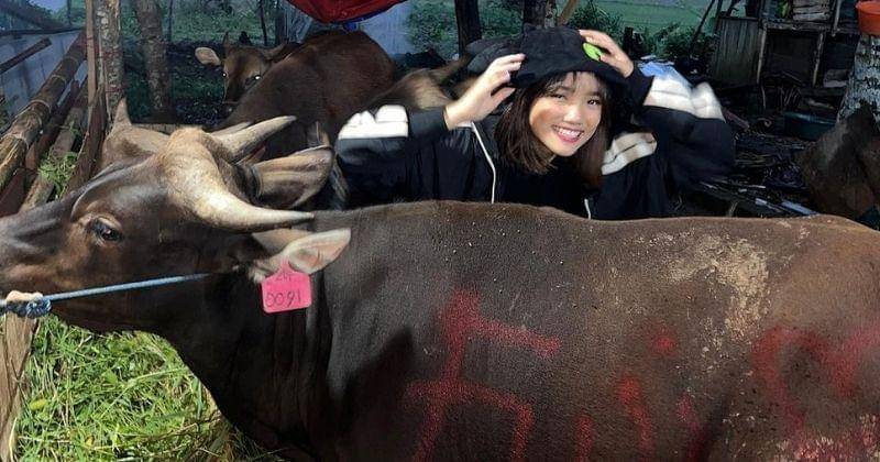 Instagram.com/fuji_an