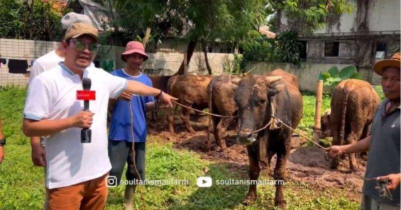 Instagram.com/soultanismailfarm