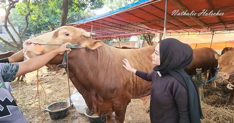 Youtube.com/NATHALIE HOLSCHER