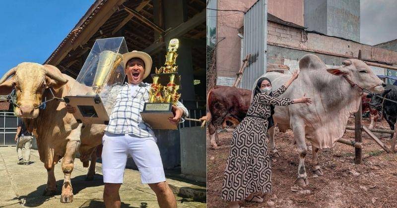 Instagram.com/irfanhakim75/riaricis1795