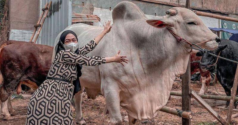 Instagram.com/riaricis1795