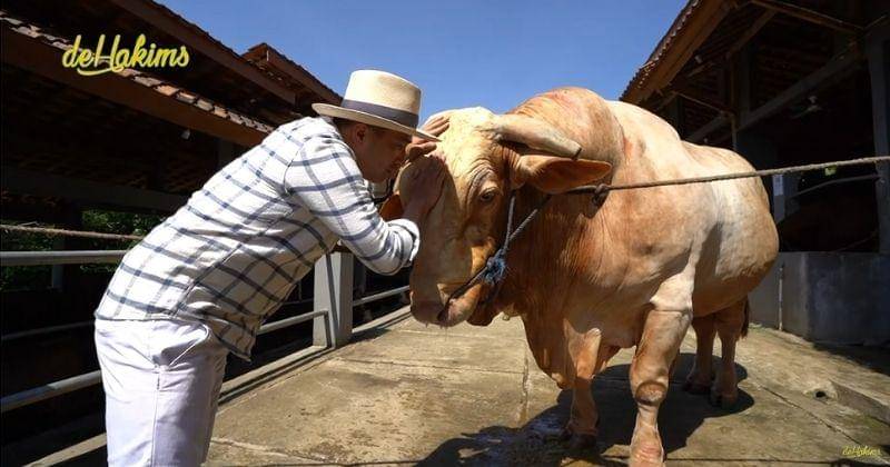 Youtube.com/deHakims